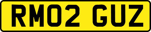 RM02GUZ