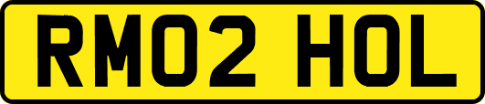 RM02HOL