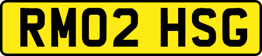RM02HSG