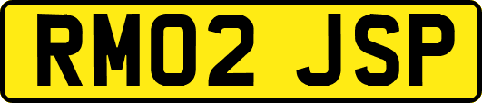 RM02JSP