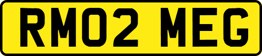 RM02MEG
