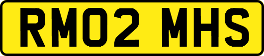 RM02MHS