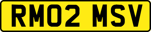 RM02MSV