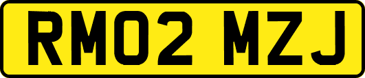 RM02MZJ