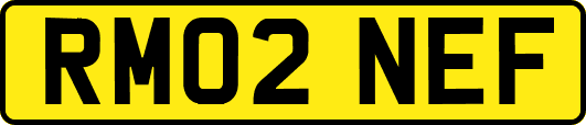 RM02NEF