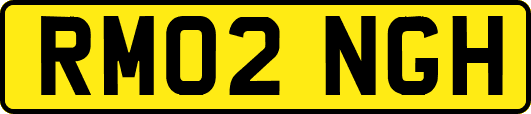 RM02NGH
