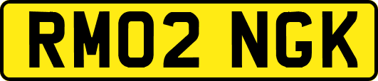 RM02NGK