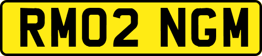 RM02NGM