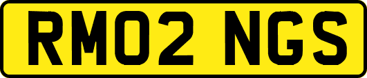 RM02NGS