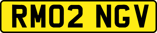 RM02NGV