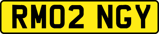 RM02NGY