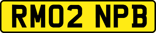 RM02NPB