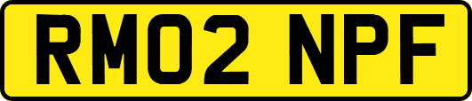 RM02NPF