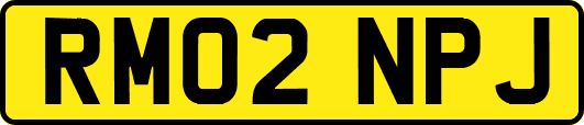RM02NPJ