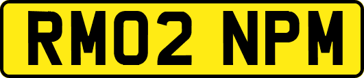 RM02NPM
