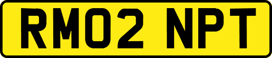 RM02NPT