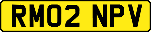 RM02NPV