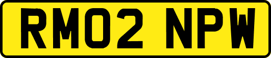 RM02NPW