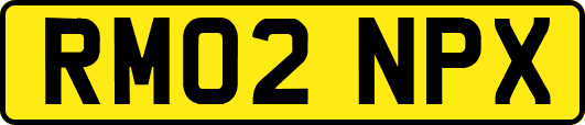 RM02NPX
