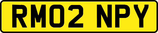 RM02NPY
