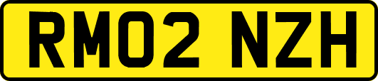 RM02NZH