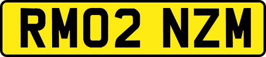 RM02NZM