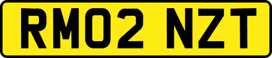 RM02NZT
