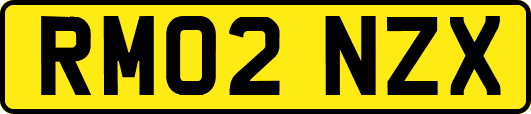 RM02NZX