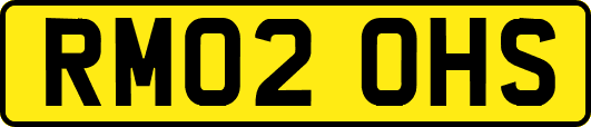 RM02OHS