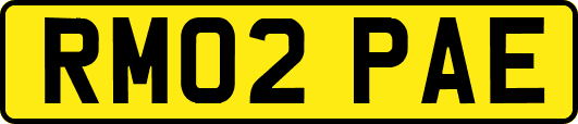 RM02PAE