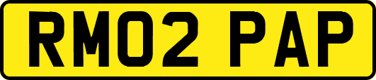 RM02PAP