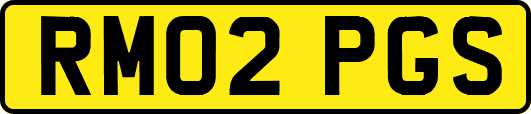 RM02PGS