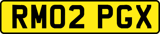 RM02PGX
