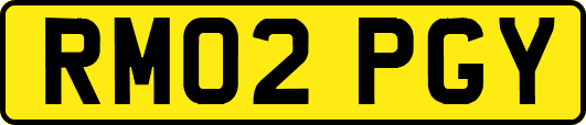 RM02PGY