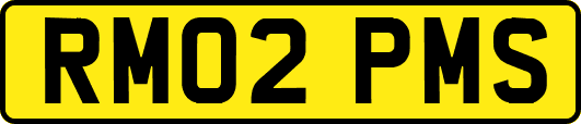 RM02PMS