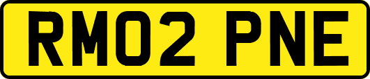 RM02PNE