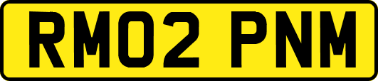 RM02PNM