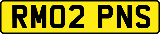 RM02PNS