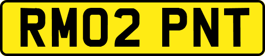 RM02PNT