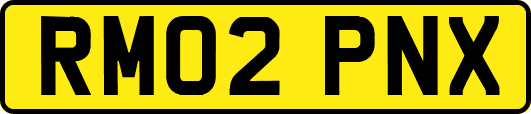 RM02PNX