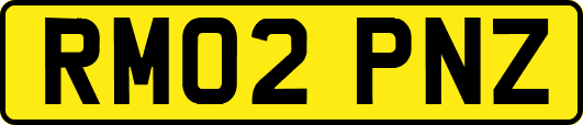 RM02PNZ
