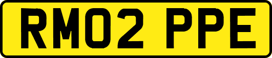 RM02PPE
