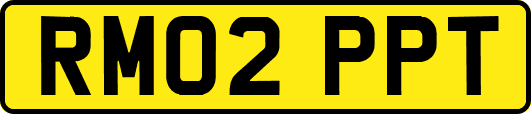 RM02PPT
