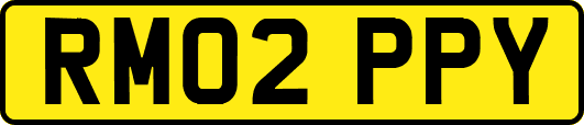 RM02PPY