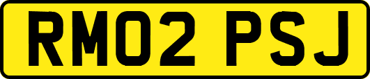 RM02PSJ