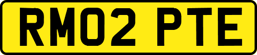 RM02PTE