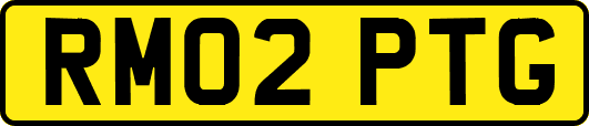 RM02PTG