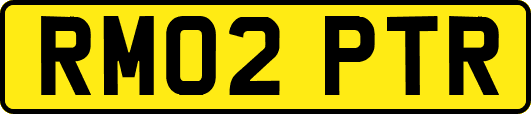 RM02PTR