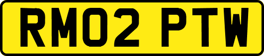 RM02PTW