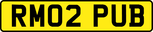 RM02PUB